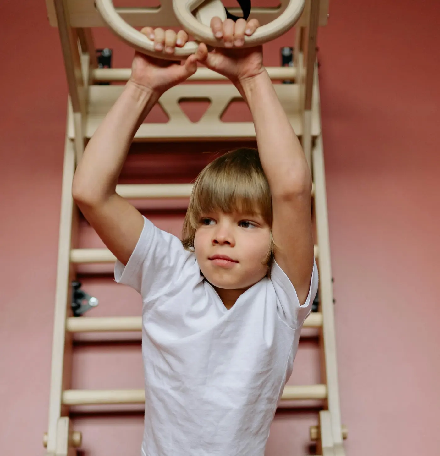 Freche Schakale Frühl.